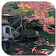 Koi Pond Video Live Wallpaper icon