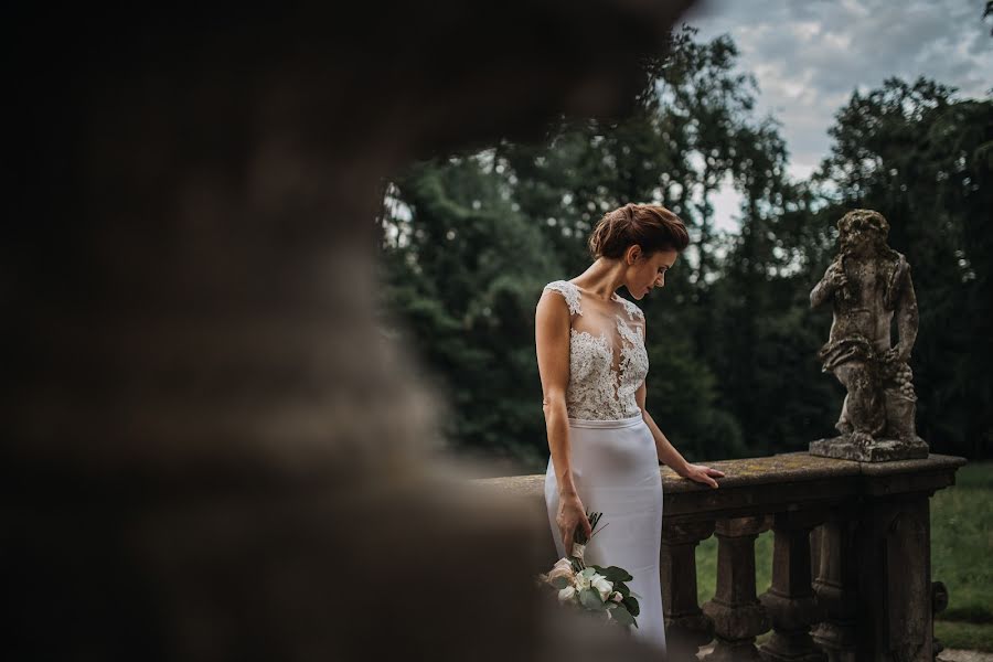 Fotografo di matrimoni Alberto Zorzi (zorzi). Foto del 30 novembre 2017