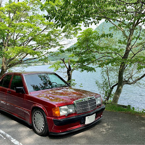 190シリーズ W201