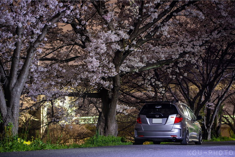フィットの夜桜・桜と愛車・フィット・Nikon・J'S RACINGに関するカスタム事例の投稿画像2枚目