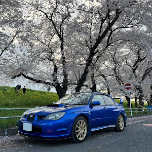 インプレッサ WRX STI GDB