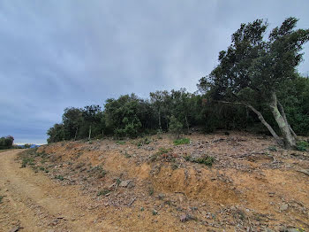 terrain à Rasiguères (66)