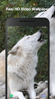 Wolf Live Wallpaper Screenshot