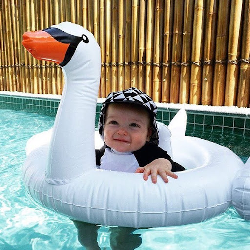 Title 1, White swan swimming seat small animal swimming ...