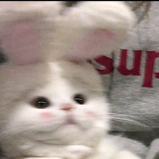 日焼け止め