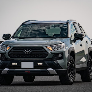 RAV4 AXAP54