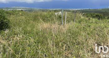 terrain à Saint leu (974)