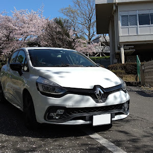 ルーテシア RM5M