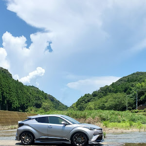 C-HR ZYX10