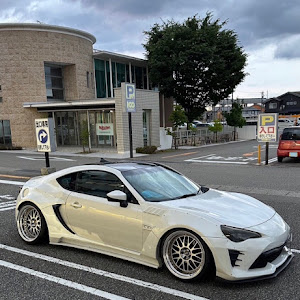 86 ZN6