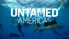 Untamed Americas thumbnail