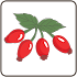 Poisonous Plants1.0.1