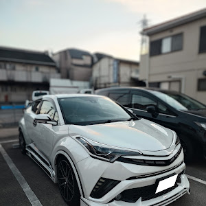 C-HR NGX10