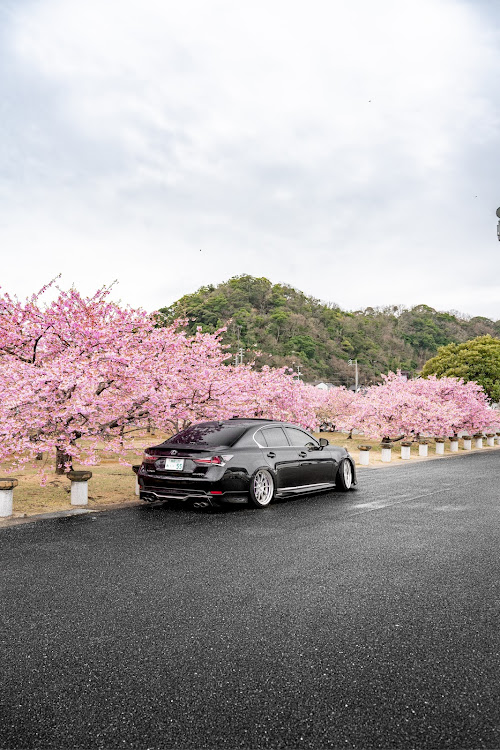 GSの桜と愛車・桜コラボ・モデリスタエアロ・がんばれ☆にゃ〜さんに関するカスタム事例の投稿画像4枚目