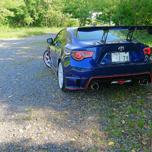 86 ZN6