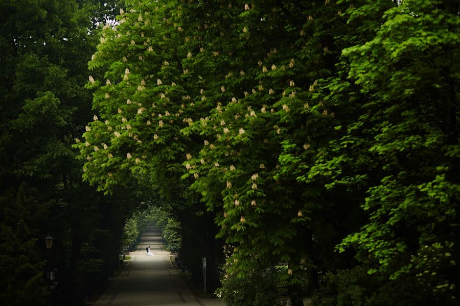 Jurufoto perkahwinan Mateusz Przybyla (przybyla). Foto pada 9 Oktober 2018