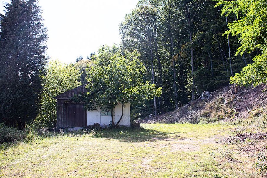 Vente terrain  3981 m² à Reinhardsmunster (67440), 386 000 €