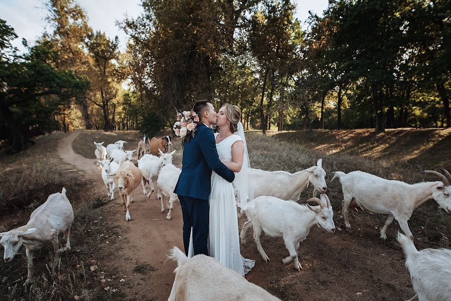 Fotógrafo de casamento Olga Shok (olgashok). Foto de 15 de setembro 2020