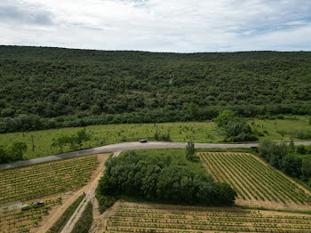 terrain à Saint-Bauzille-de-Putois (34)