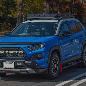 RAV4 MXAA54