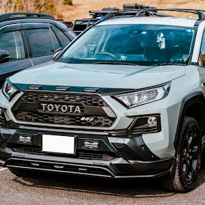 RAV4 MXAA54