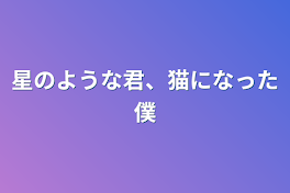 星のような君、猫になった僕