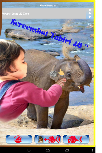 免費下載教育APP|Kinder Wildtier Zoo Lern&Spiel app開箱文|APP開箱王
