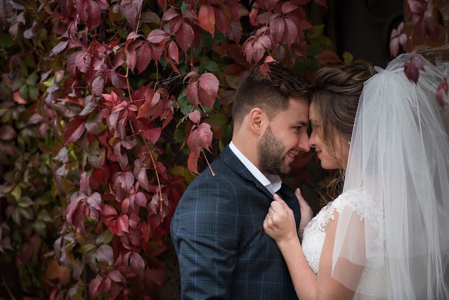 Fotógrafo de casamento Olga Klochanko (olgaklochanko). Foto de 2 de março 2017