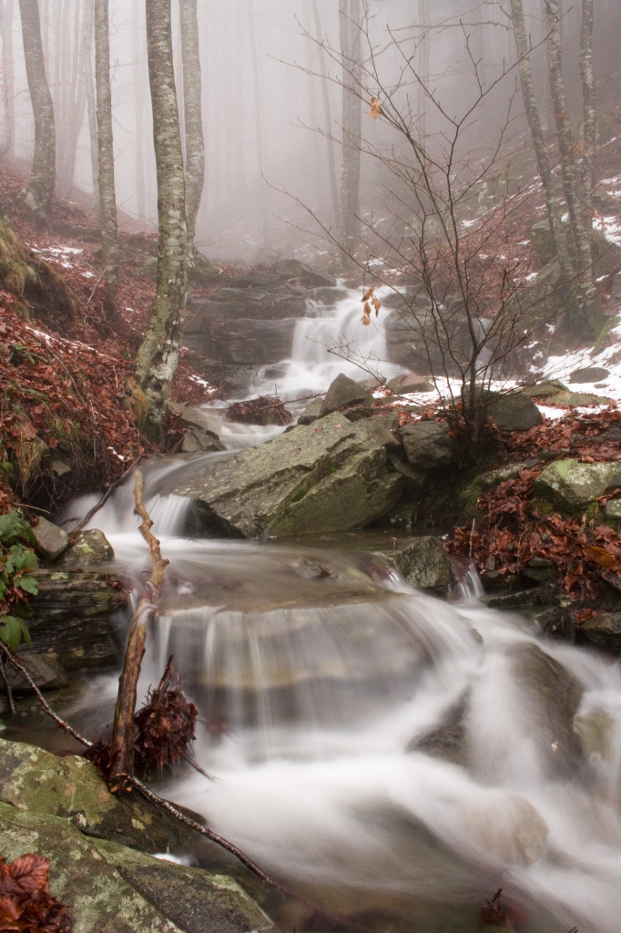 Acqua...fonte della vita. di daniele_poggesi