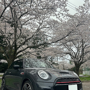 ミニ ハッチバック JCW