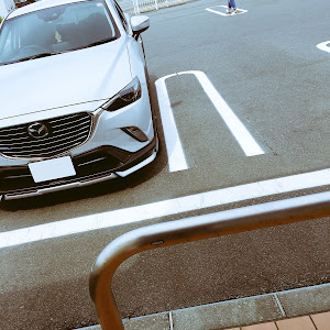 CX-3 DK5FW