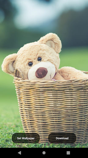 Screenshot Cute Teddy Bear Wallpapers