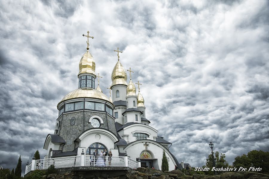 Fotógrafo de casamento Viktoriya Bushakova (bushakova). Foto de 20 de agosto 2015