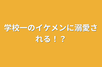 学校一のイケメンに溺愛される！？