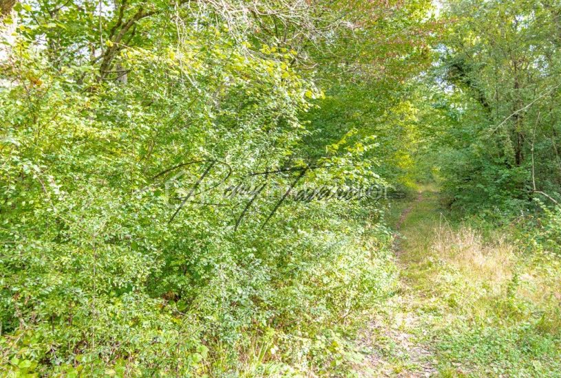  Vente Terrain à bâtir - à Nanteau-sur-Lunain (77710) 