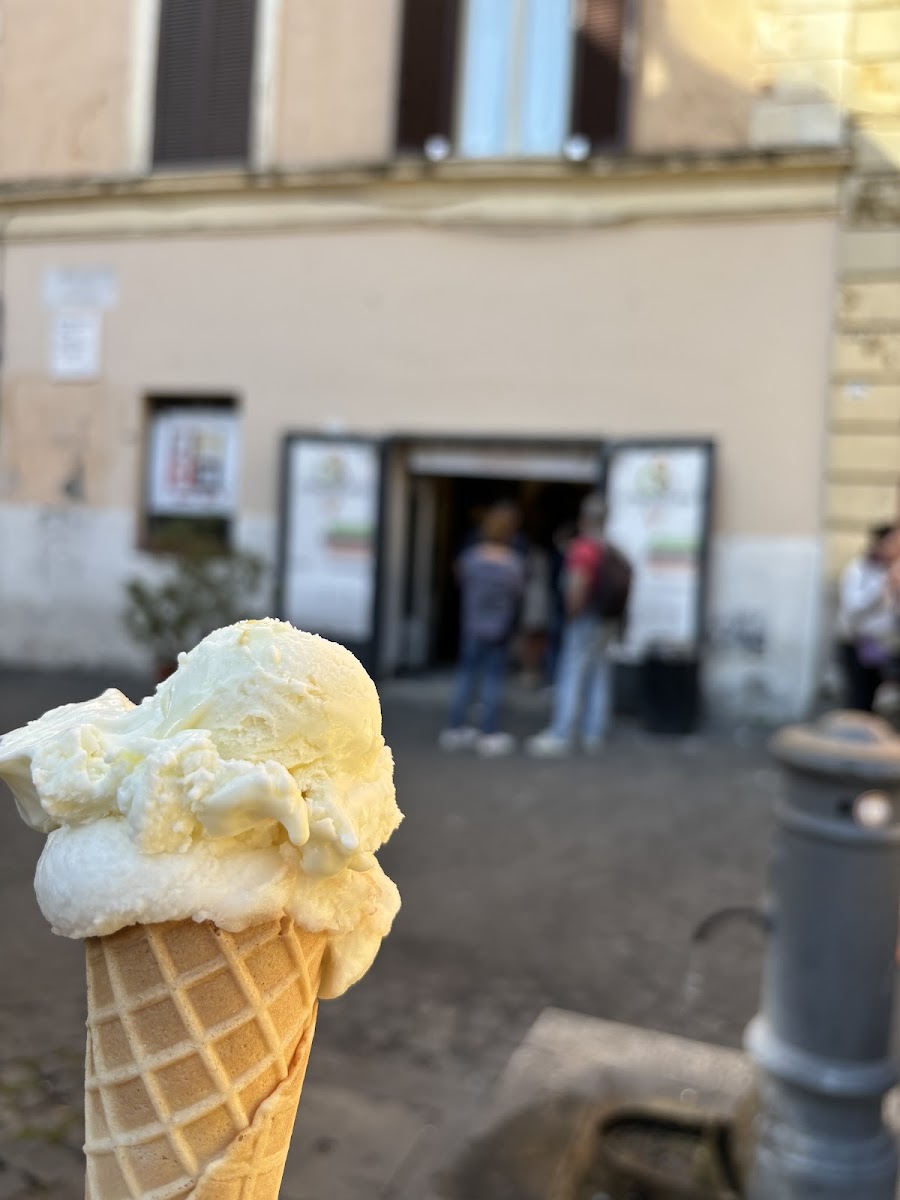 RICOTTA E AGRUMI (ricotta and lemon zest) and lemon in a cone 🤤