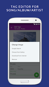 Pulsar Music Player Pro Mod Apk (Patcher) 1.10.2 6