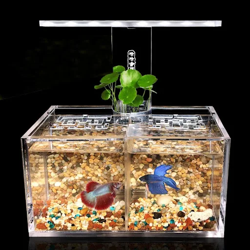 Acrylic Fish Tank Free Water Exchange Isolation Box With LED Desk Lamp Water Pump Filter Aquarium Office Desktop Decorat
