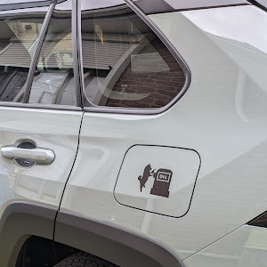 RAV4 MXAA54