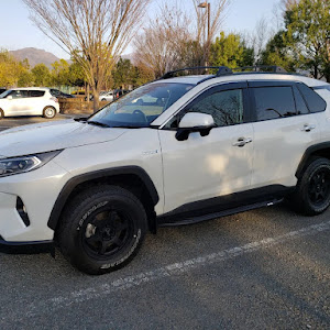 RAV4 AXAH54