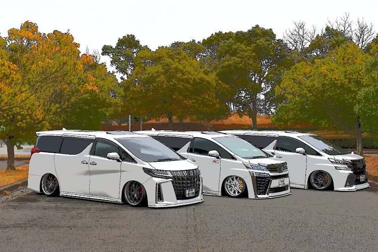 ヴェルファイアの菜の花と愛車・ドライブ・30アルヴェル・スケベ戦隊アルヴェンジャー・脱点滅に関するカスタム事例の投稿画像1枚目