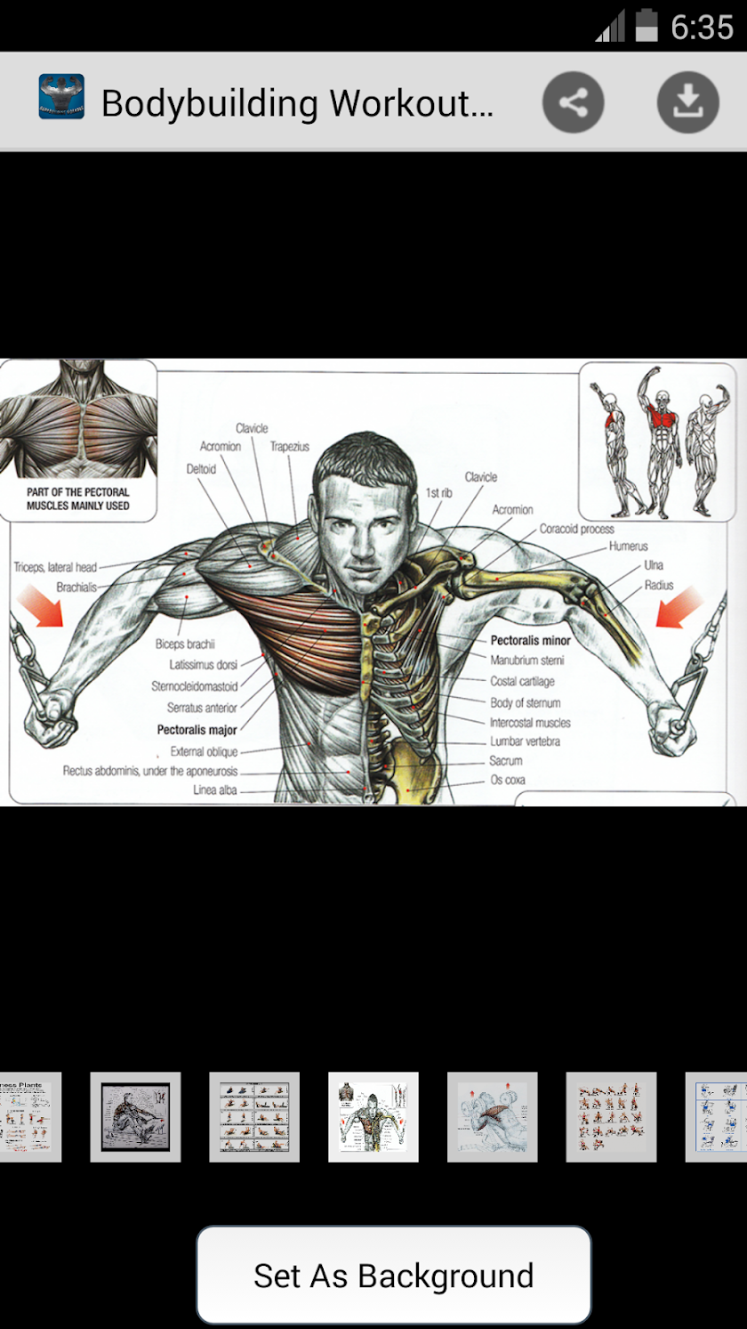 Bodybuilding Workout Photos Screen 3