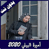 أميرة البيلي 2020 بدون نت2.0