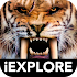 Extinct Animals iExplore AR1.1