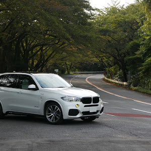 X5 xDrive 35d