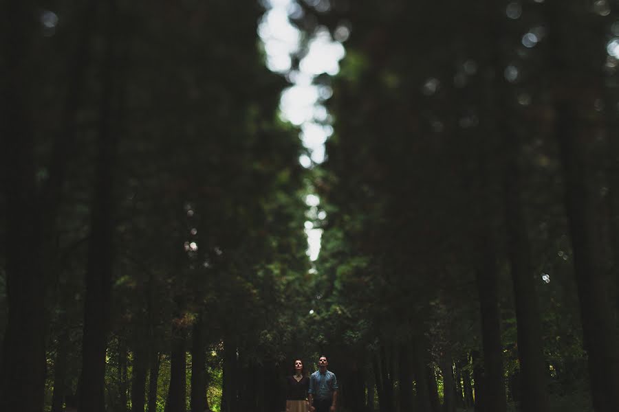 Fotógrafo de bodas Tony Iskra (iskraphoto). Foto del 11 de agosto 2014