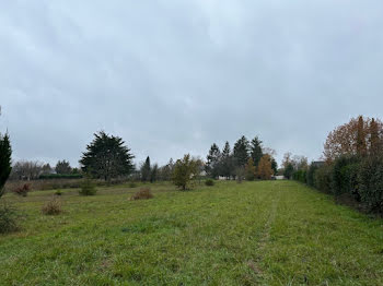 maison neuve à Cinq-Mars-la-Pile (37)