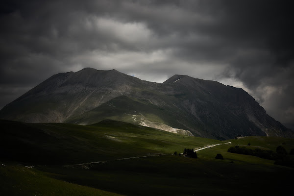 Verso il Vettore di Alessio_fiè