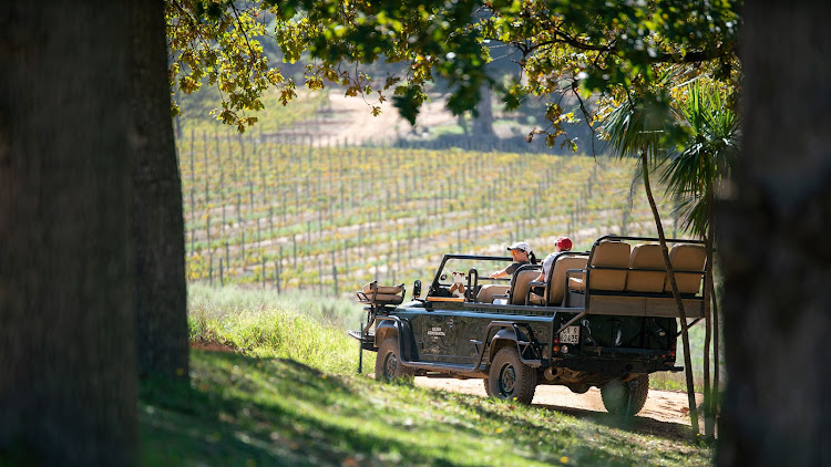 The Constantia Sauvignon Blanc route, Klein Constantia game vehicle.