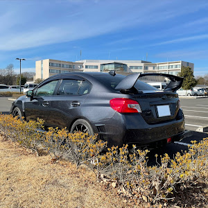 WRX S4 VAG